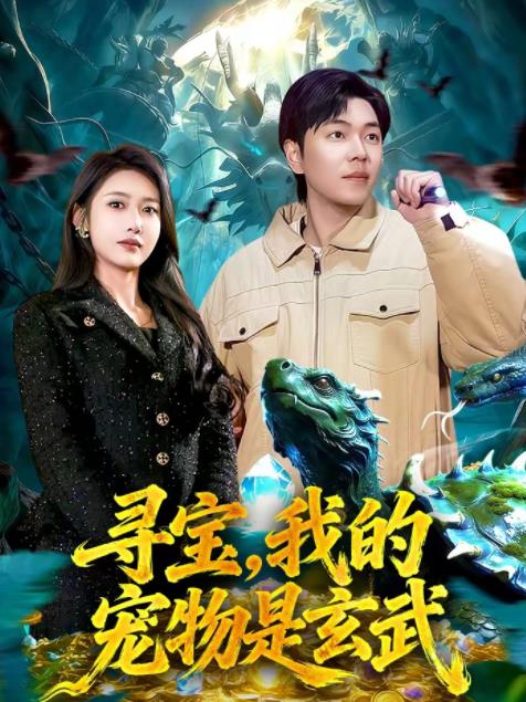 寻宝，我的宠物是玄武