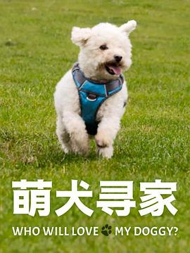 萌犬寻家第一季