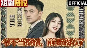 爷不当赘婿，前妻破防了