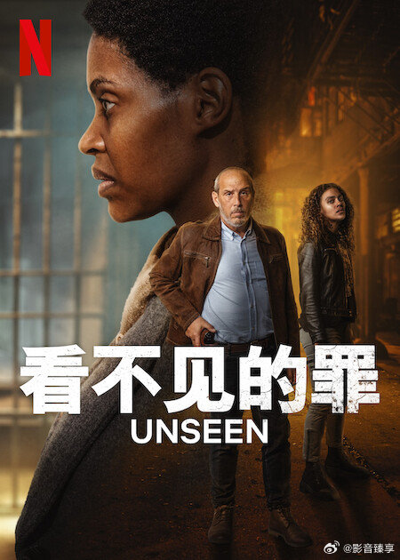 看不见的罪第二季