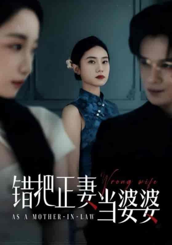 错把正妻当婆婆