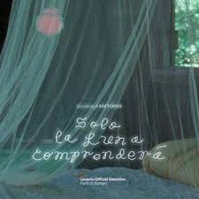 月亮会包容我们