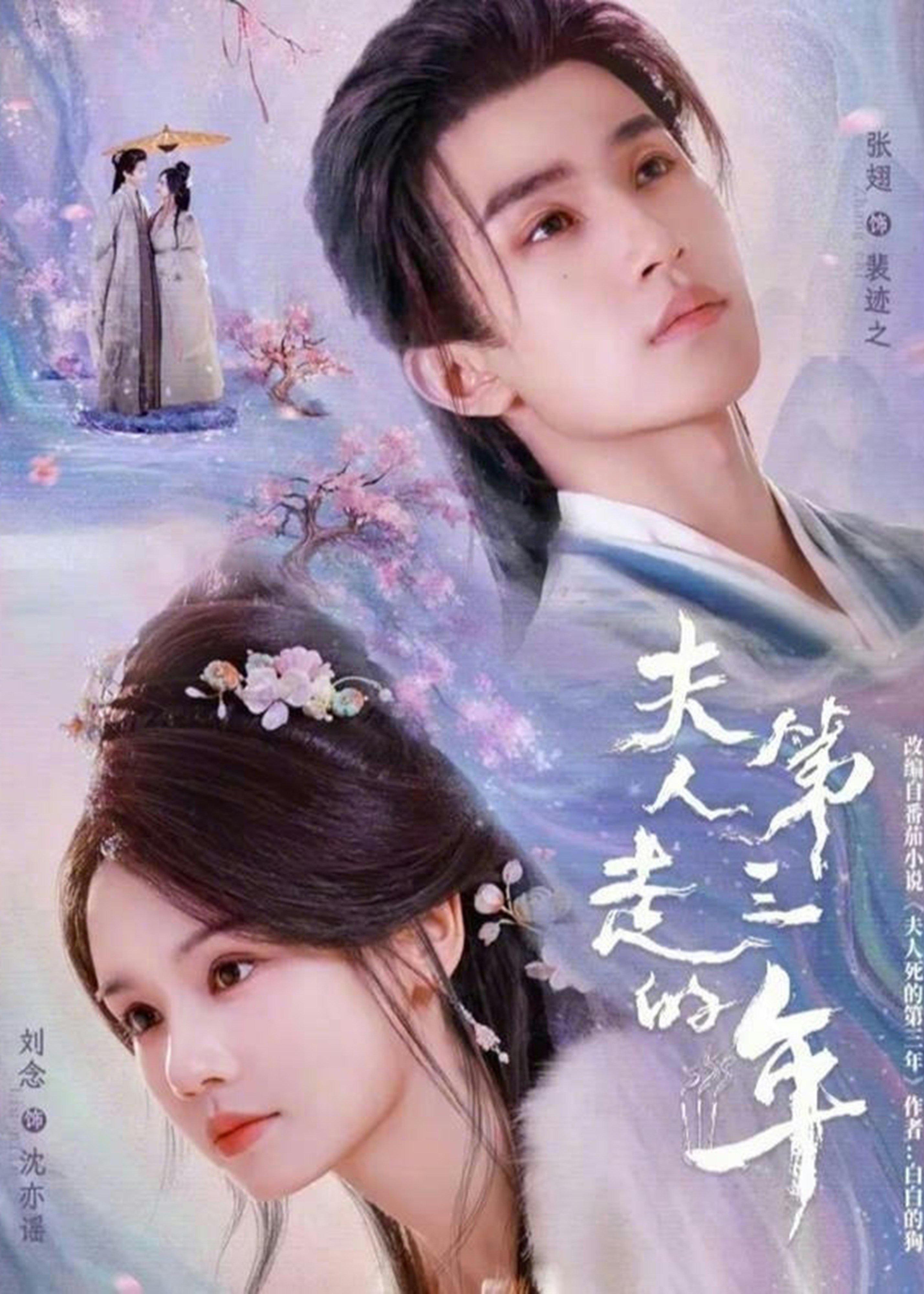 夫人走的第三年