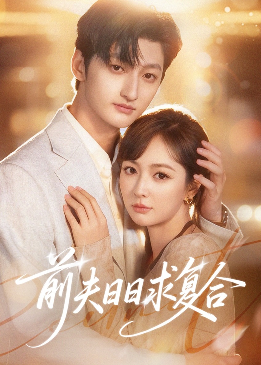 前夫日日求复合