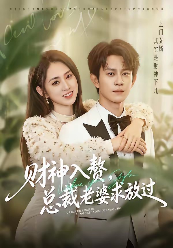 财神入赘，总裁老婆求放过